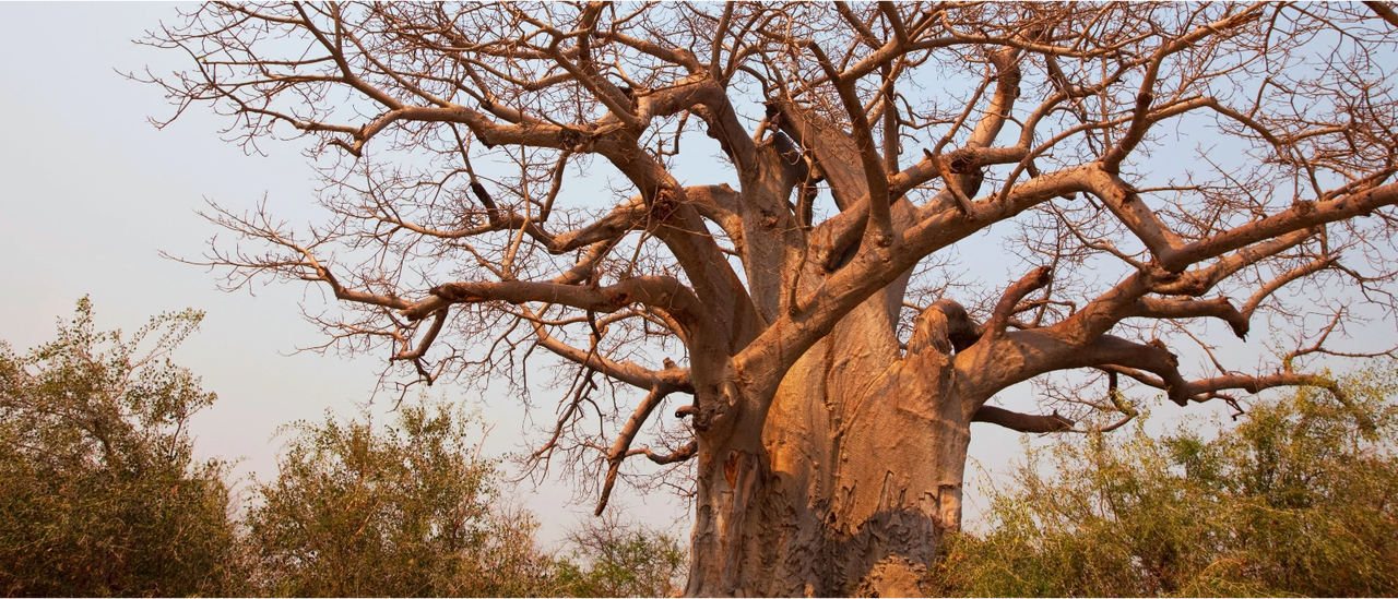 Welcome to the Tax Justice and Illicit <br>Financial Flows Knowledge Hub